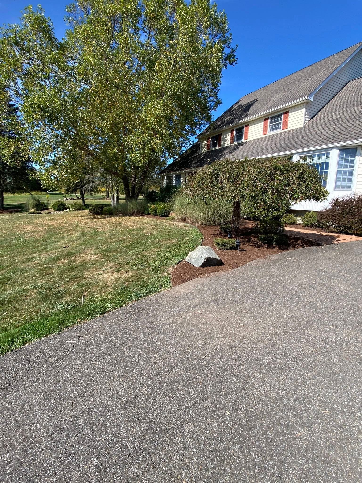 Contact form background