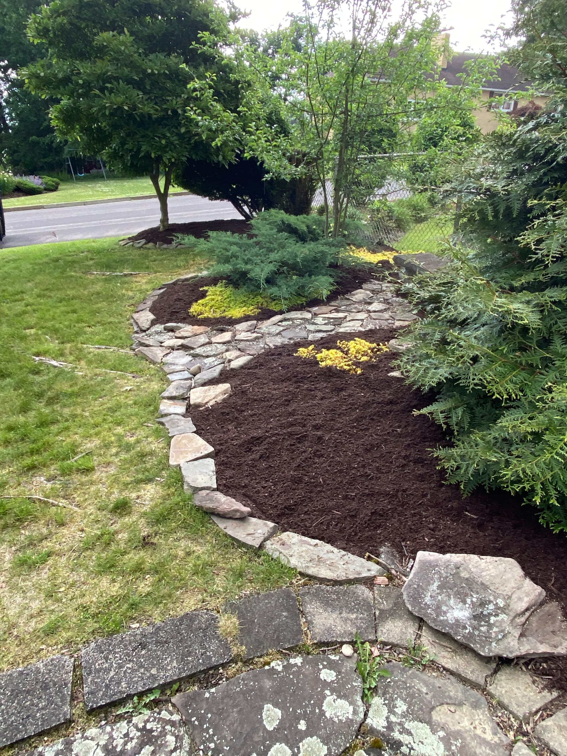 Gallery photos for Fresh Hemlock Mulch Install That Makes Every Bed Pop: Image #1
