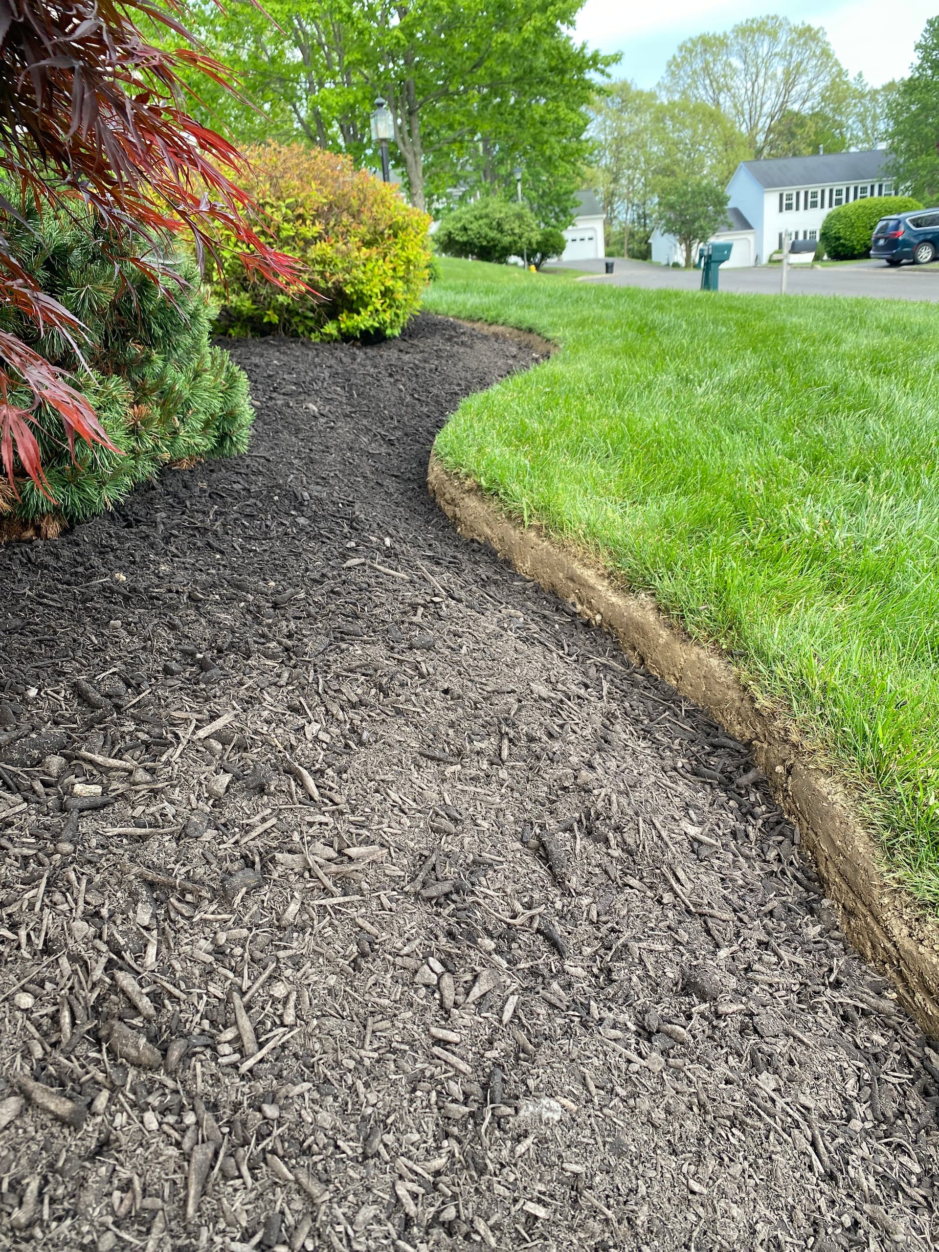 Fresh Mulch and Clean Edges That Make a Yard Look Sharp image