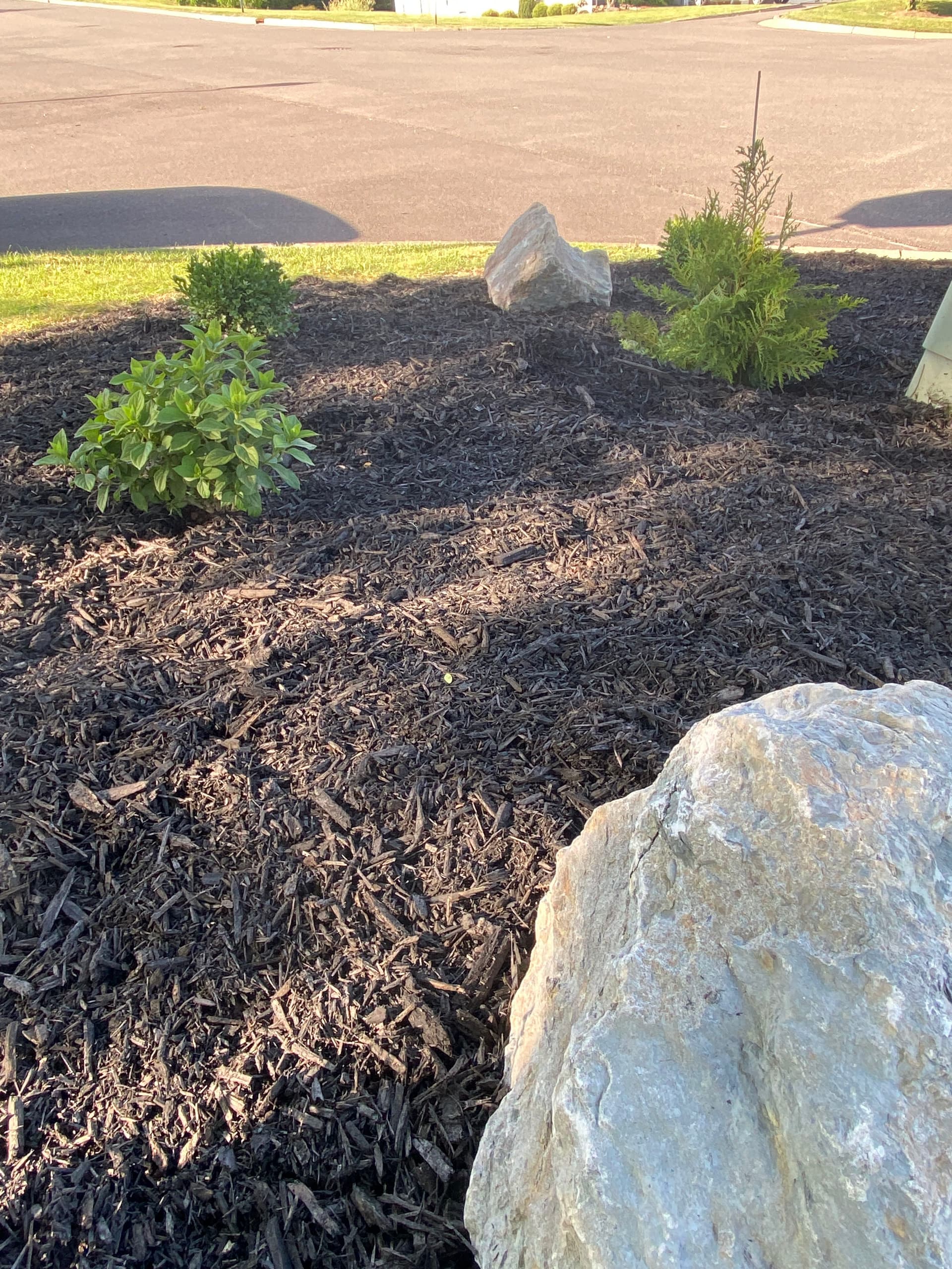 Fresh Mulch, New Plants, and Clean Edges That Actually Get Noticed image