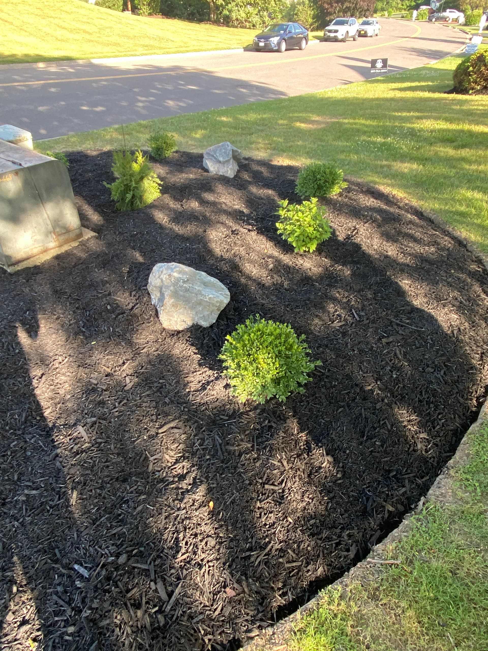 Gallery photos for Fresh Mulch, New Plants, and Clean Edges That Actually Get Noticed: Image #1