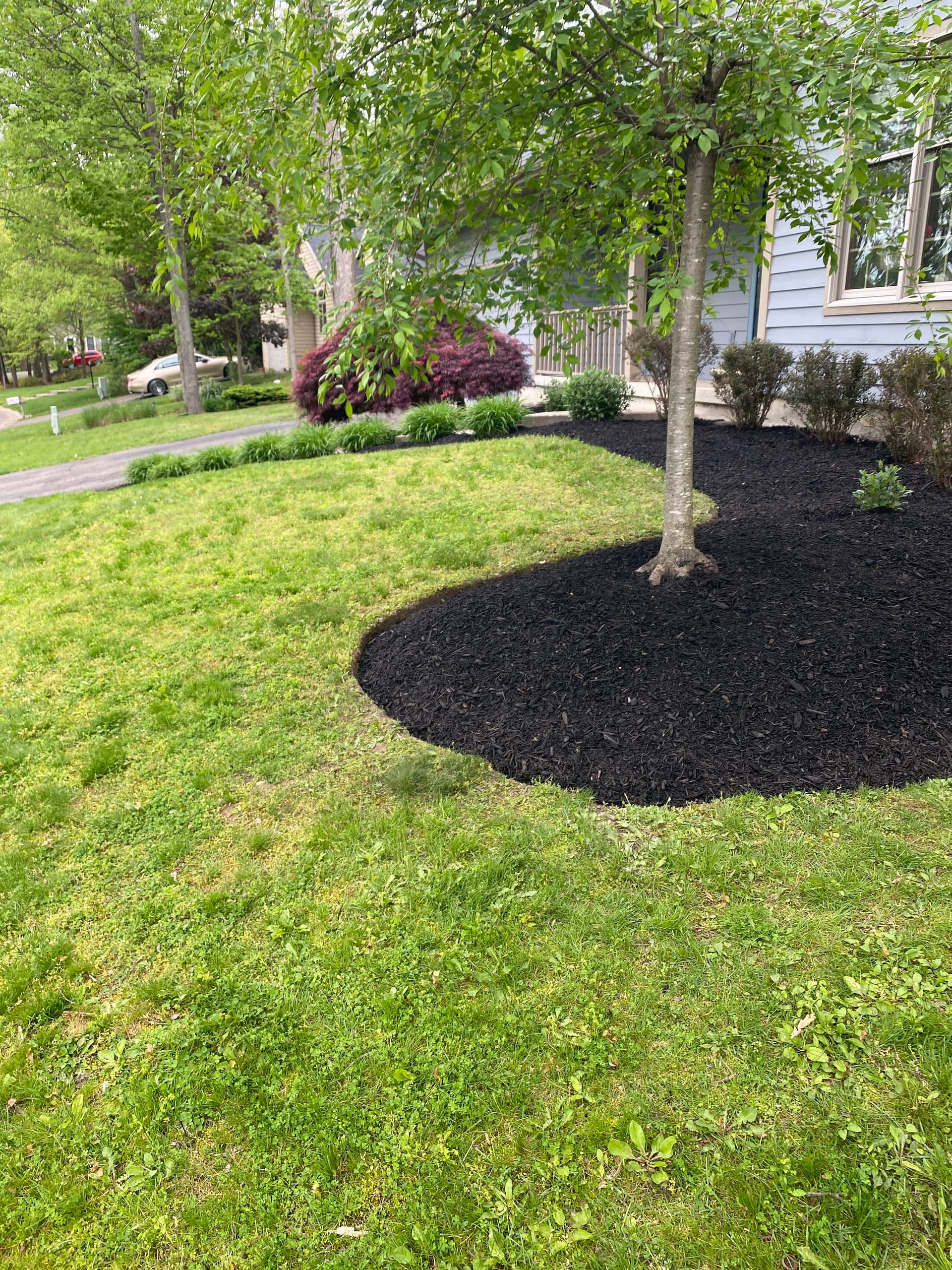 Gallery photos for Fresh Mulch and Clean Edges That Make a Yard Look Sharp: Image #4