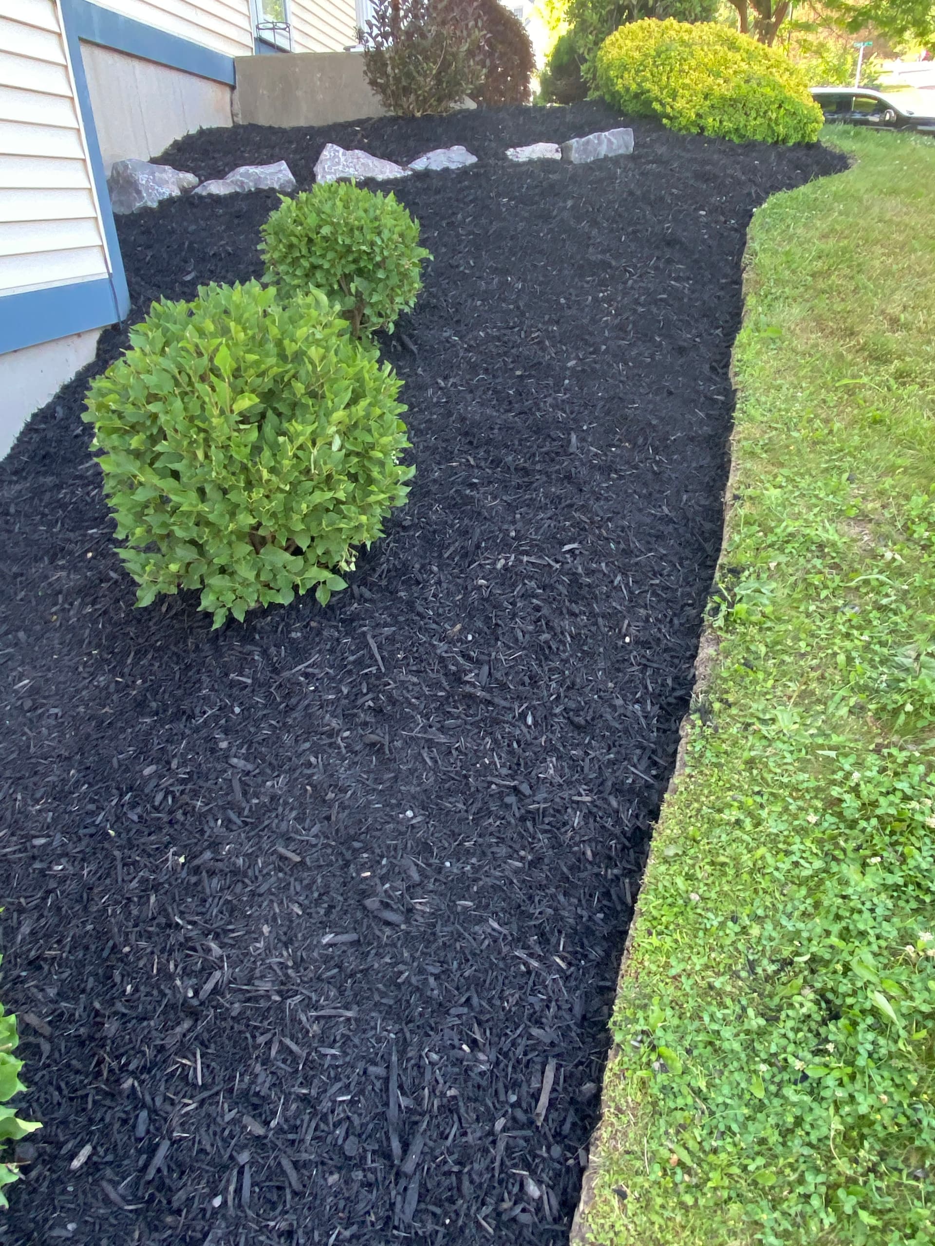 Gallery photos for Fresh Mulch, New Plants, and Clean Edges That Actually Get Noticed: Image #3