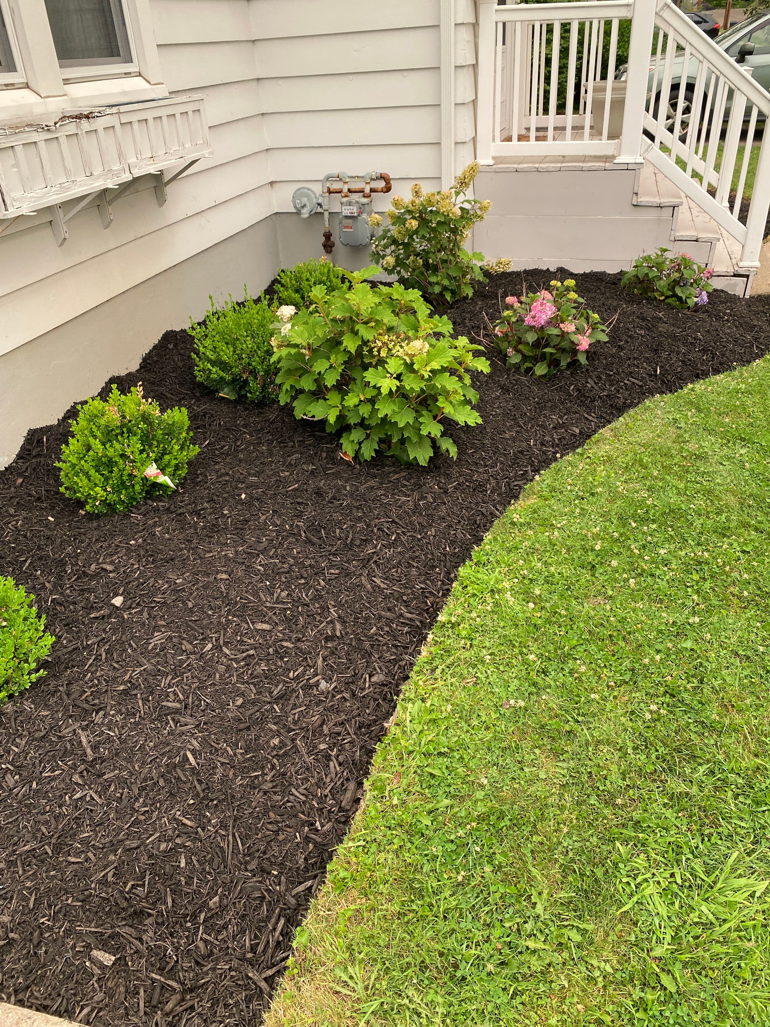 Project Fresh Black Mulch and Clean Bed Lines That Make a Yard Pop image