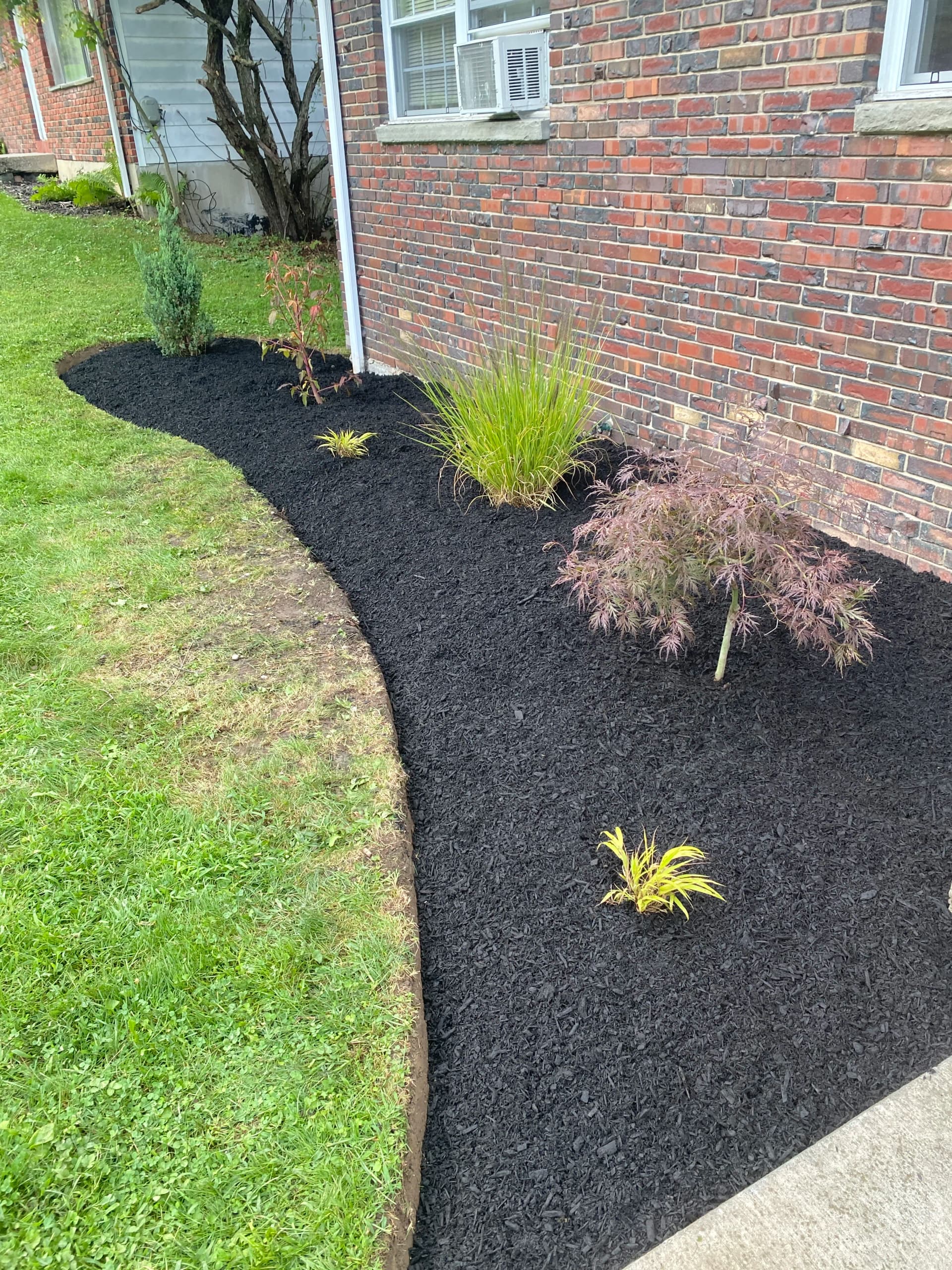 Retaining Wall, Fresh Mulch Beds and New Plants Done Right