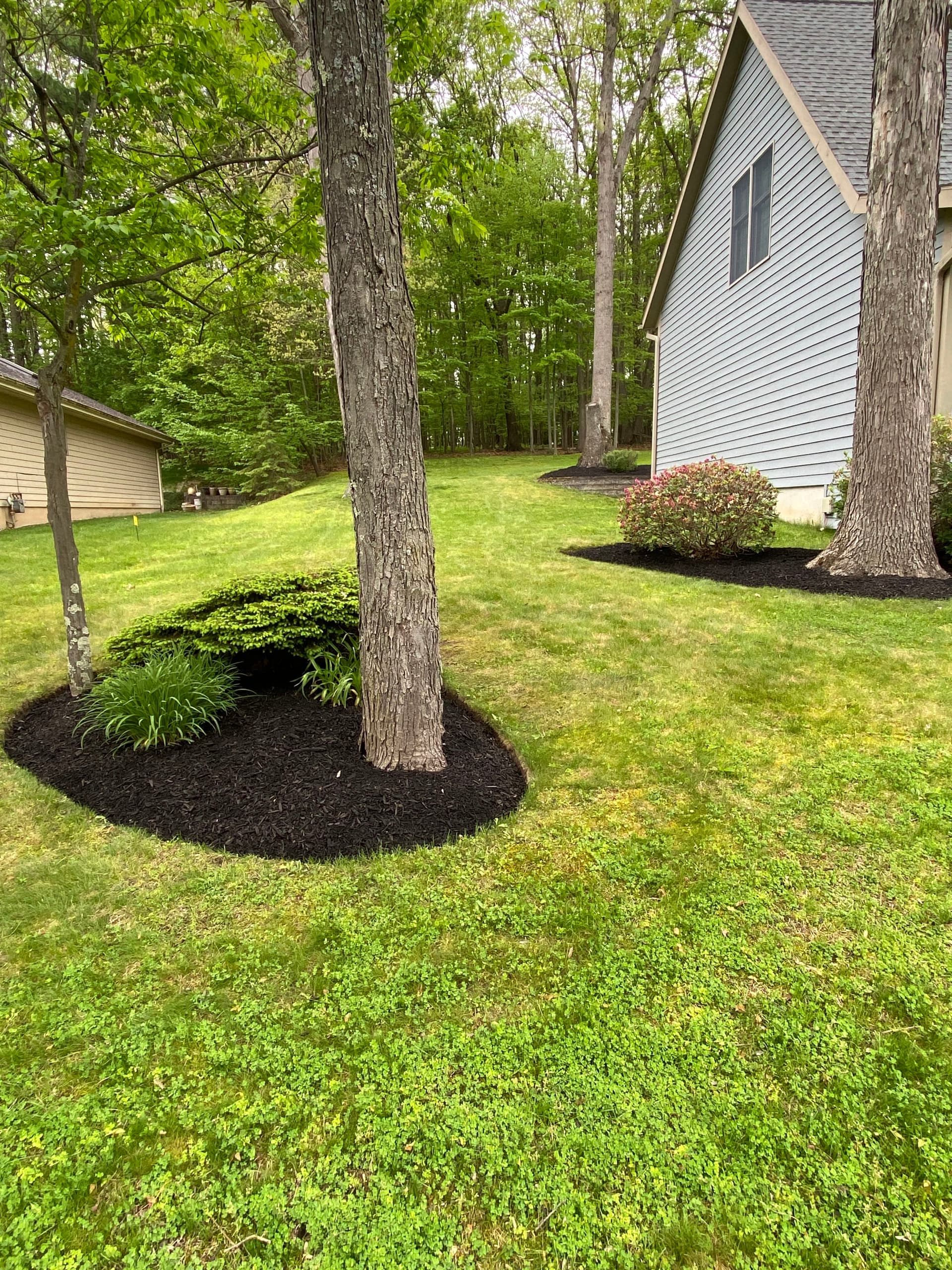 Gallery photos for Fresh Mulch and Clean Edges That Make a Yard Look Sharp: Image #3