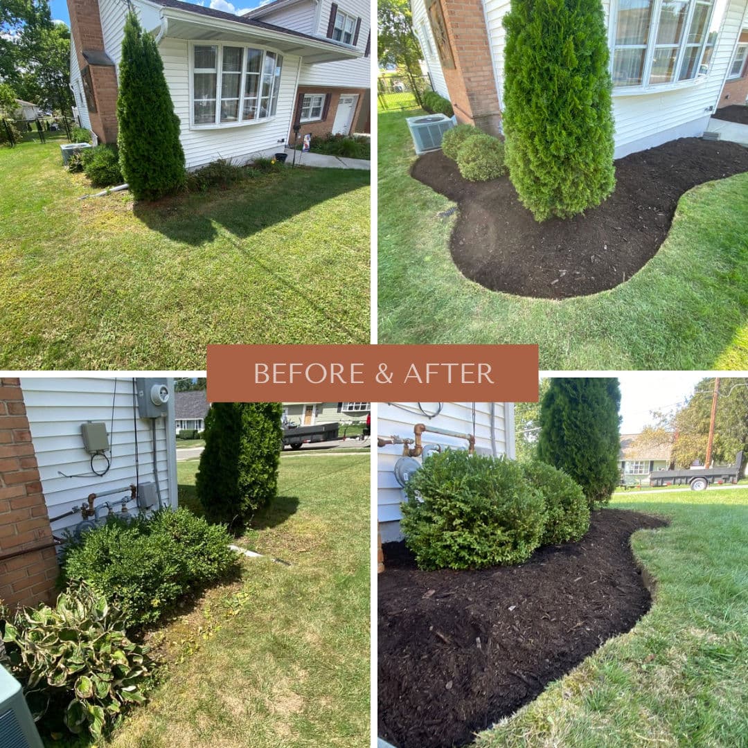 Project From Overgrown to Polished with Fresh Mulch image