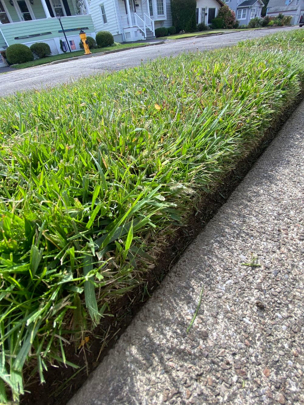 Close-up of a well-manicured lawn edge alongside a concrete sidewalk.