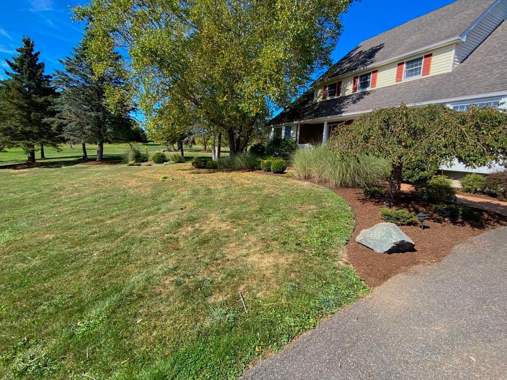 Front yard landscaping with grass, trees, and a house under a clear blue sky.