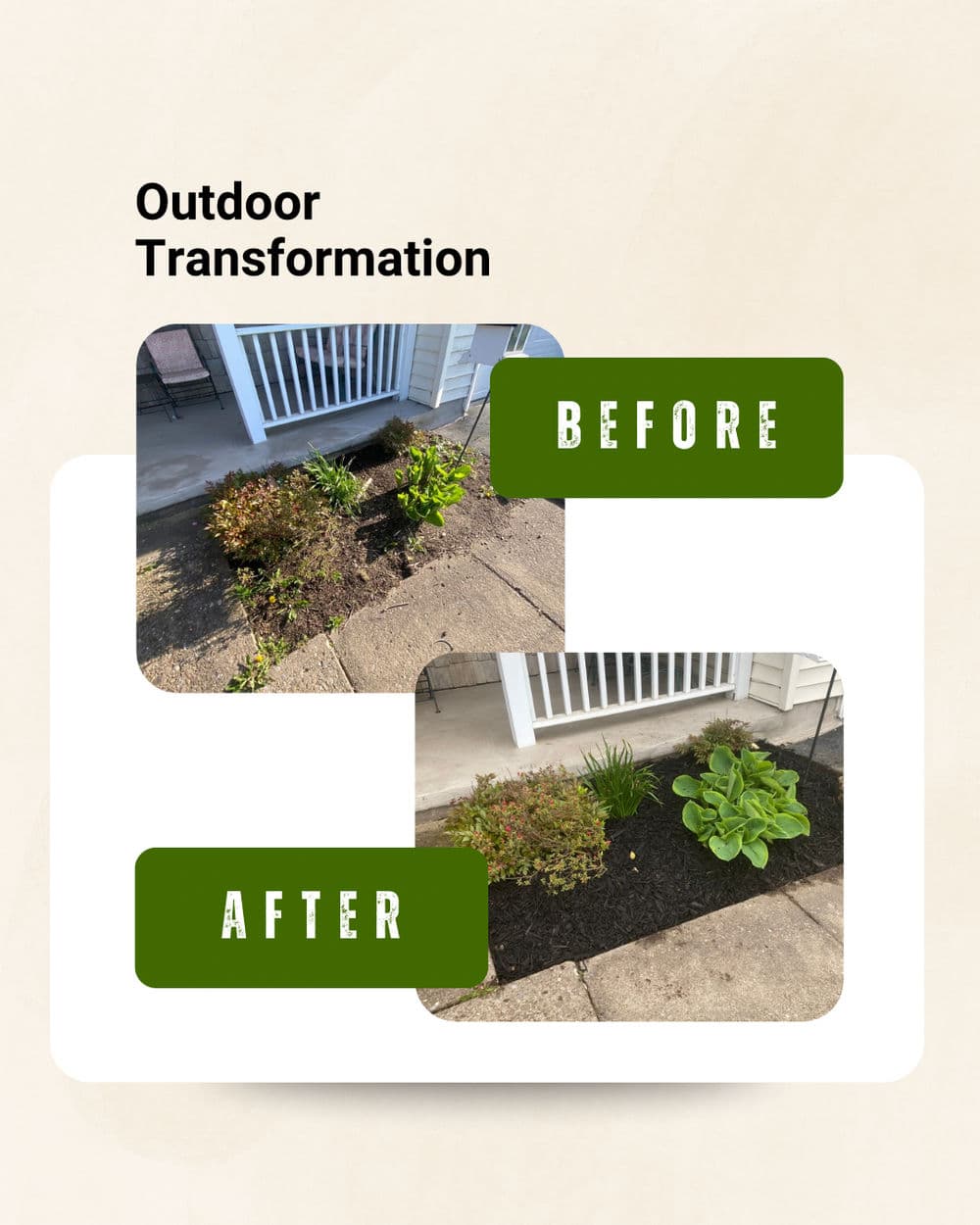 Before and after images of a garden transformation featuring lush plants and manicured landscaping.