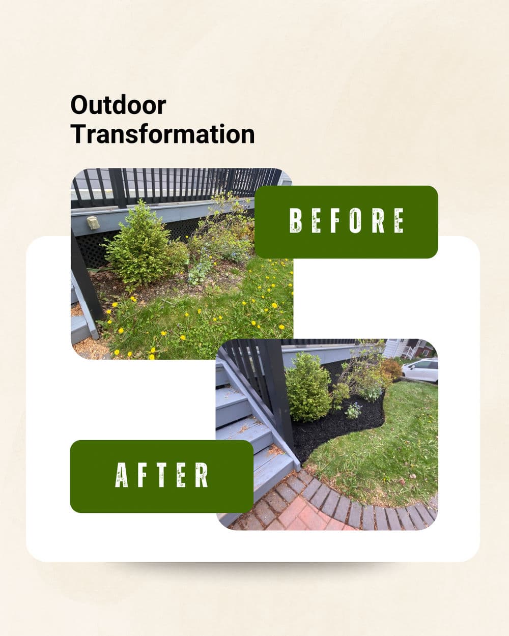 Outdoor garden transformation showcasing before and after landscaping improvements.