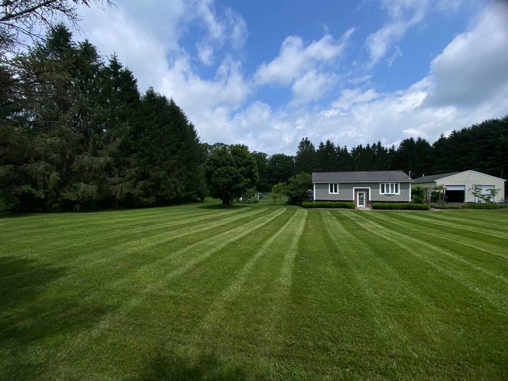 Modern house with green lawn and trees under a partly cloudy sky. Gardening landscape.