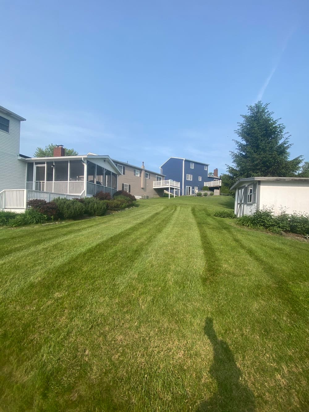 Lush green lawn with freshly mowed stripes leading to houses under a clear blue sky.