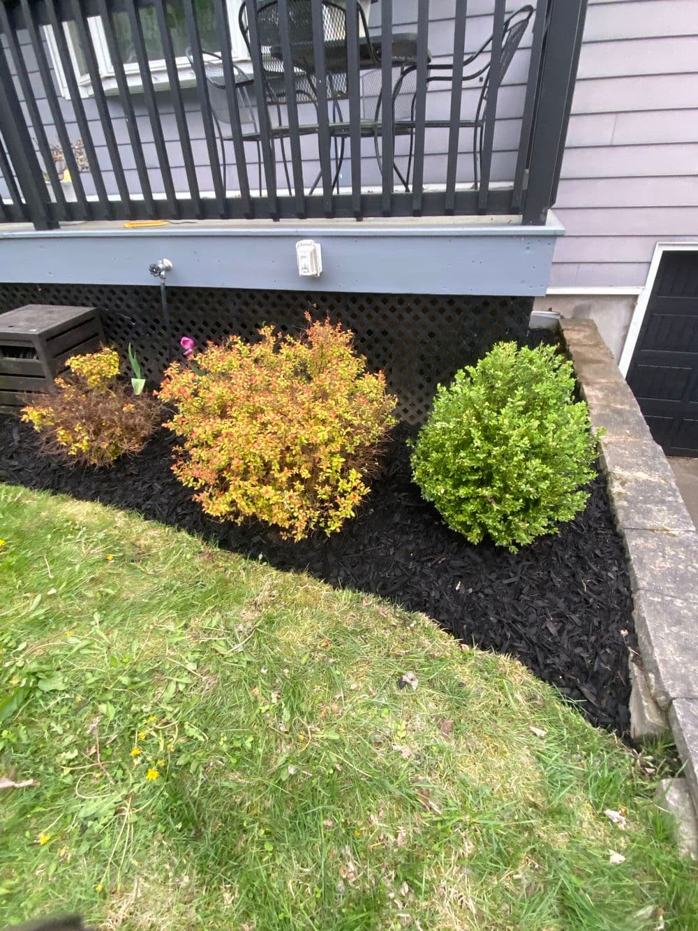 Colorful shrubs in landscaped garden with black mulch and gray house exterior.