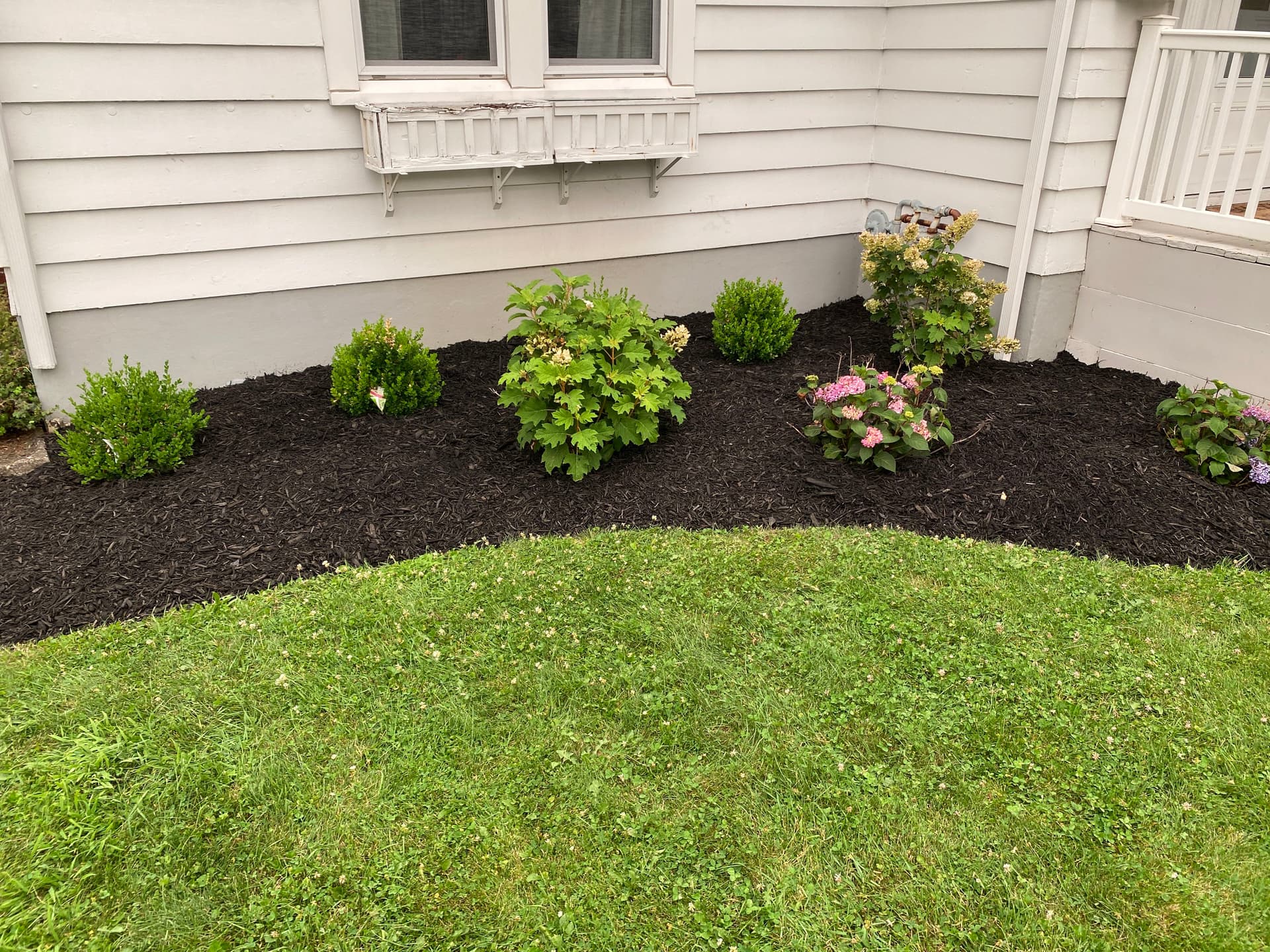 Gallery photos for Fresh Black Mulch and Clean Bed Lines That Make a Yard Pop: Image #1