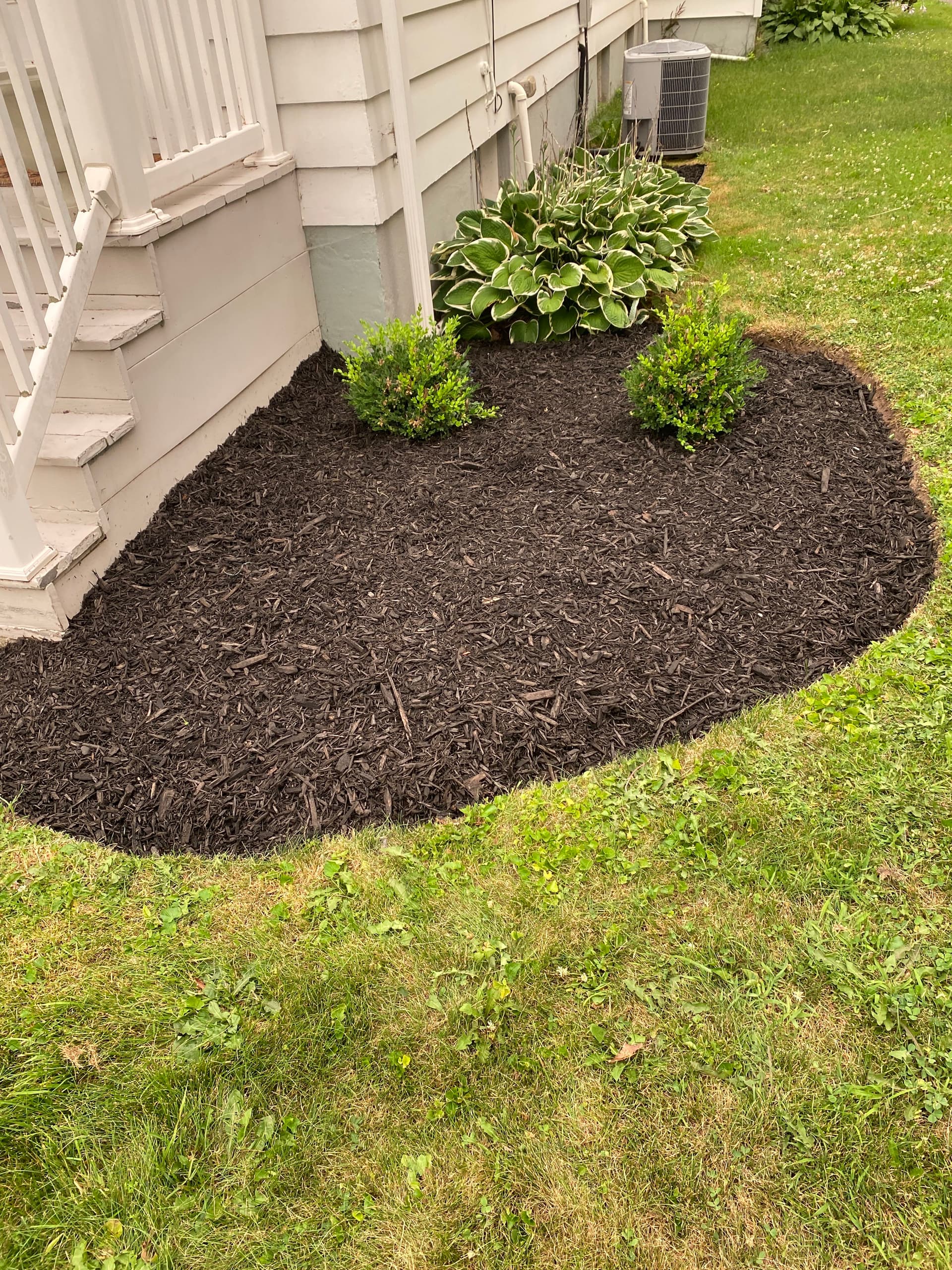 Gallery photos for Fresh Black Mulch and Clean Bed Lines That Make a Yard Pop: Image #2
