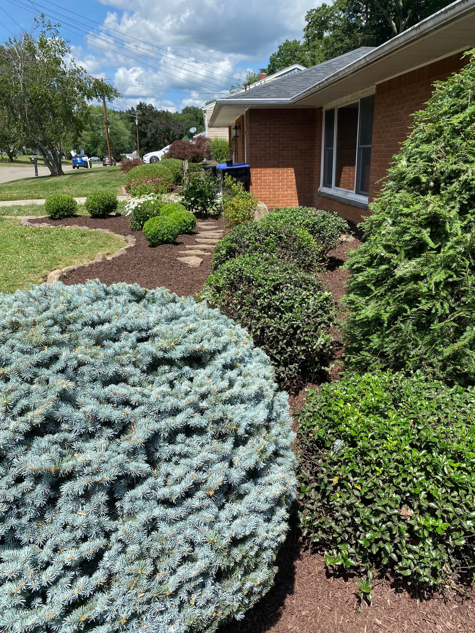 Gallery photos for Fresh Mulch, Crisp Trimming, and a Cobblestone Edge Done Right: Image #2